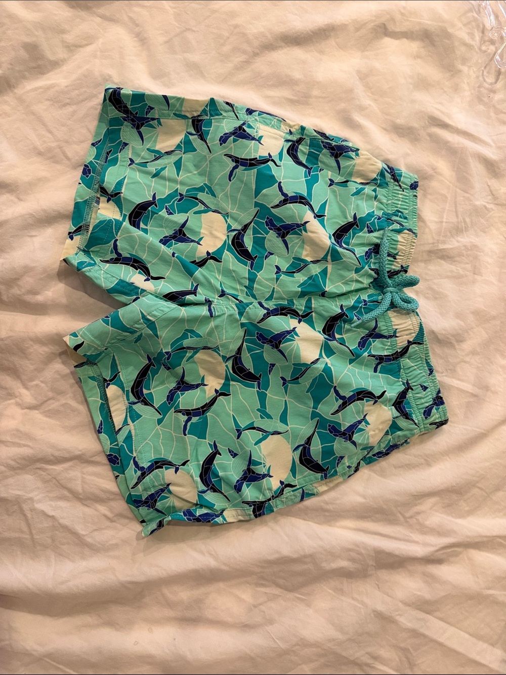 Vilebrequin Boys Aqua Green Dolphin Print Swim Shorts